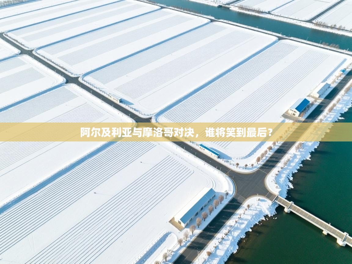 阿尔及利亚与摩洛哥对决，谁将笑到最后？